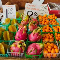 Farmers Market Tour