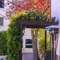 Pasadena-Gallery-3
